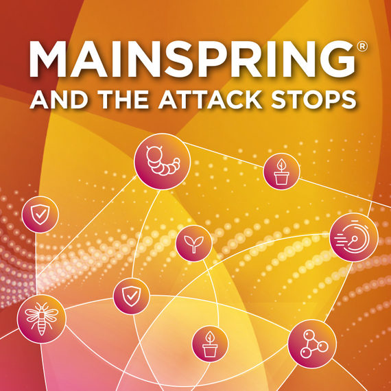 Mainspring. And the attack stops