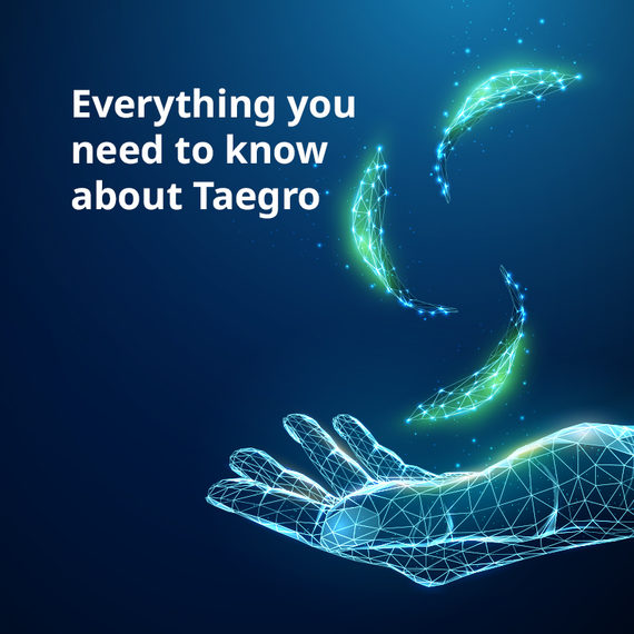 Taegro Homepage