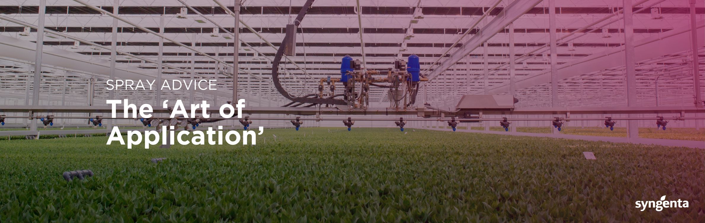 Syngenta_Full Width_Header_ArtofApplication