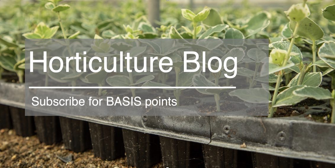 Horticulture Advice Blog from Syngenta 