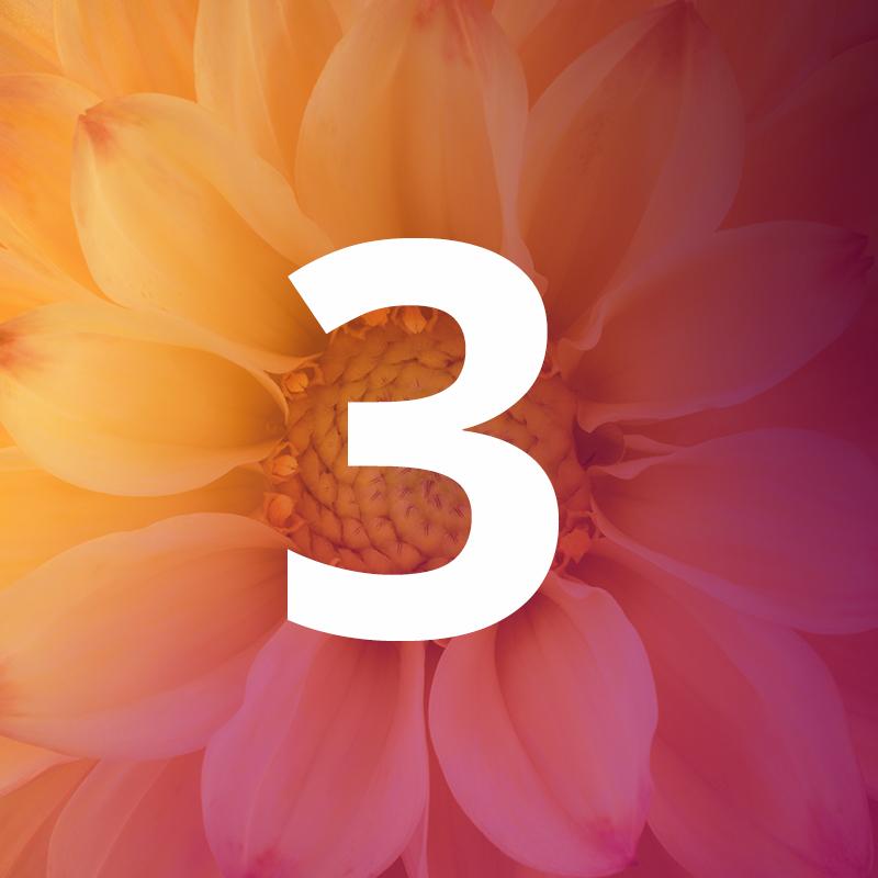 3 The Art of Application