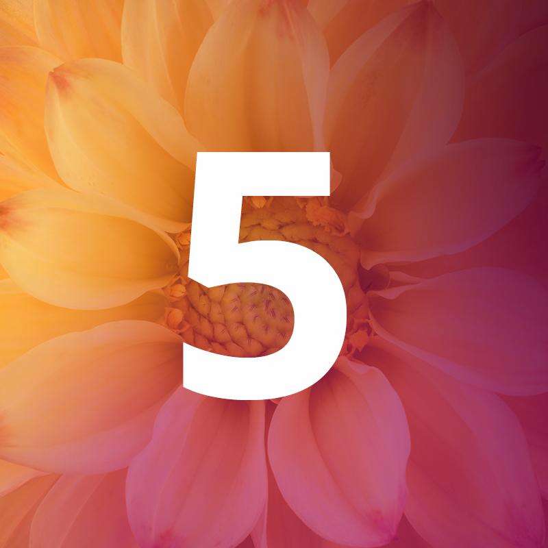 5 The Art of Application