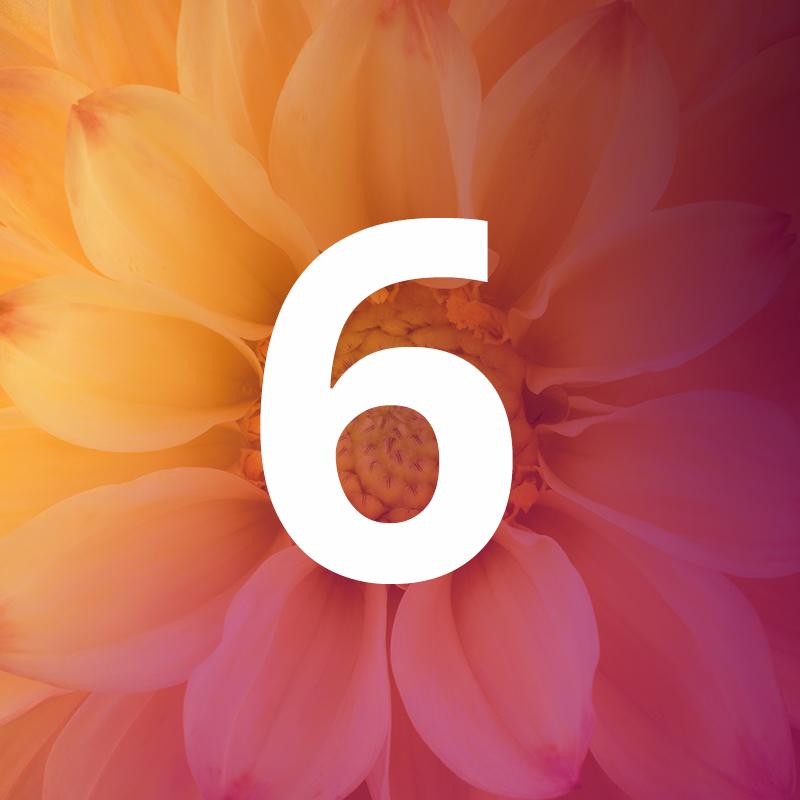 6 The Art of Application