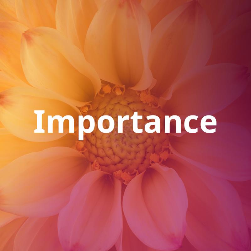 Importance The Art of Application