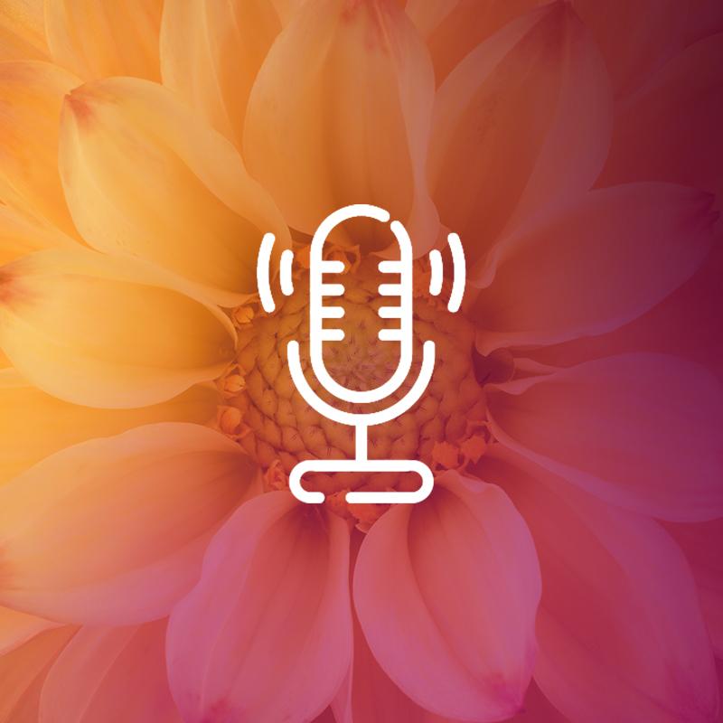 Podcast Expert Centre