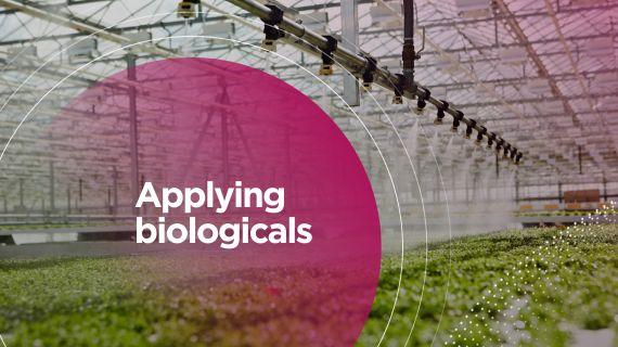 570x320_bnl_web_syngenta_toepassing_biologicals.jpg