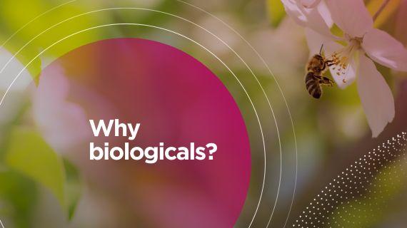 570x320_bnl_web_syngenta_waarom_biologicals.jpg