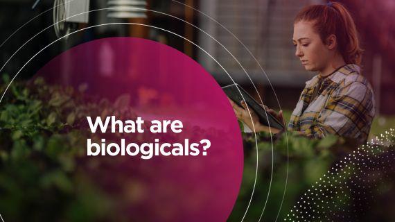 570x320_bnl_web_syngenta_wat_zijn_biologicals.jpg