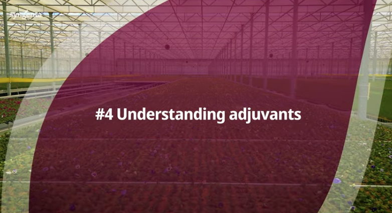 4. Adjuvants in Ornamental Spraying: Maximising Product Performance