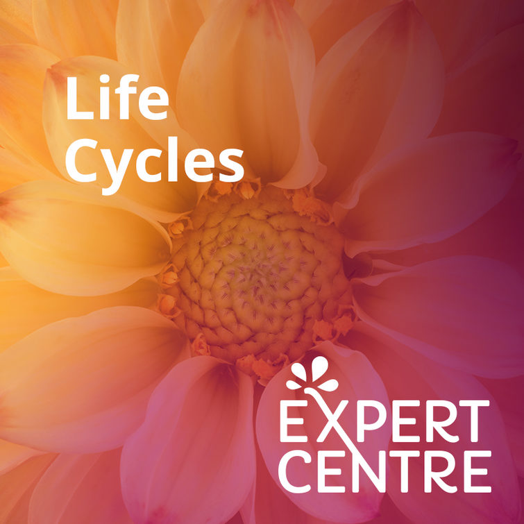 Life Cycles Expert Centre