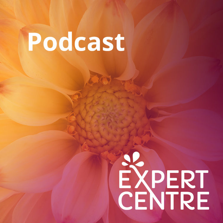 Podcast Expert Centre