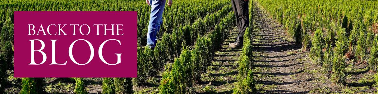 Horticulture Blogs and Articles