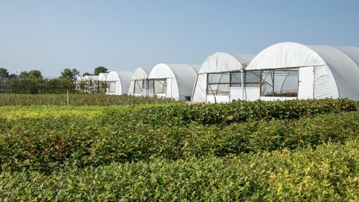 Horticulture Spray Nozzles