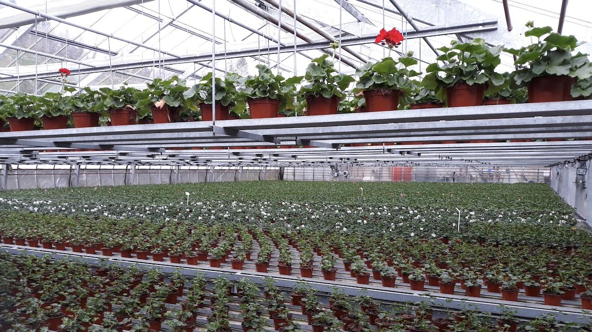 Nozzles for Horticulture and Ornamentals Spray Applications