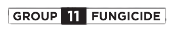 group_11_fungicide.png