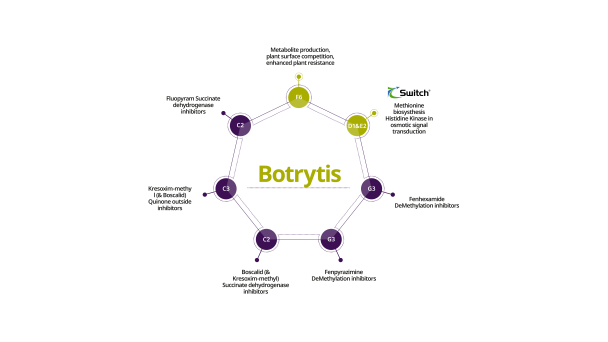 Botrytis resistance management