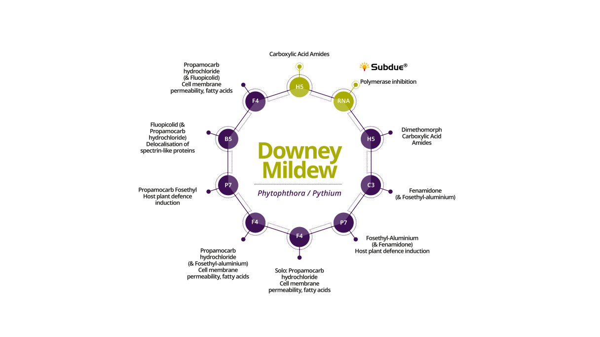 resistance_management_downey_mildew