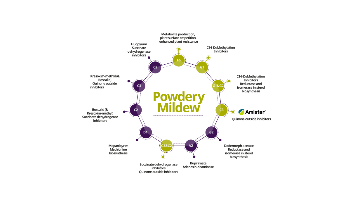 resistance_management_powdery_mildew