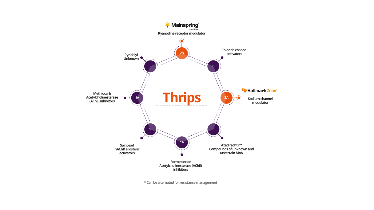 resistance_management_thrips