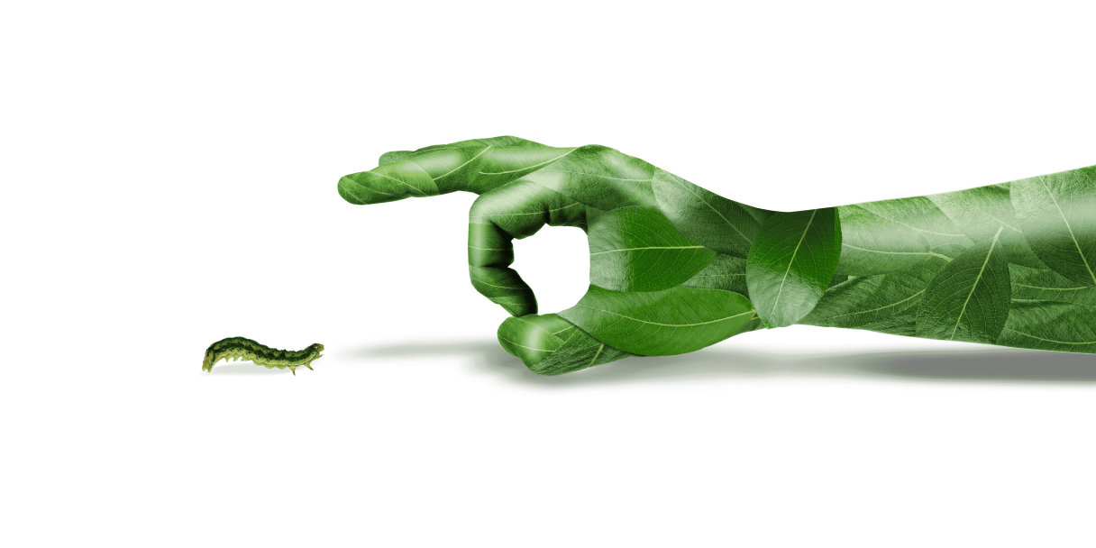 Sempliance banner