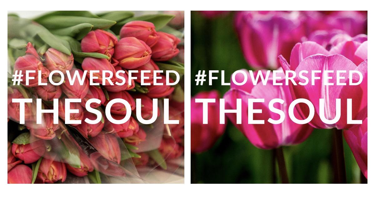 Flowers Feed The Soul COVID19